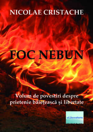 Nicolae Cristache - Foc nebun - [978-606-001-021-0]