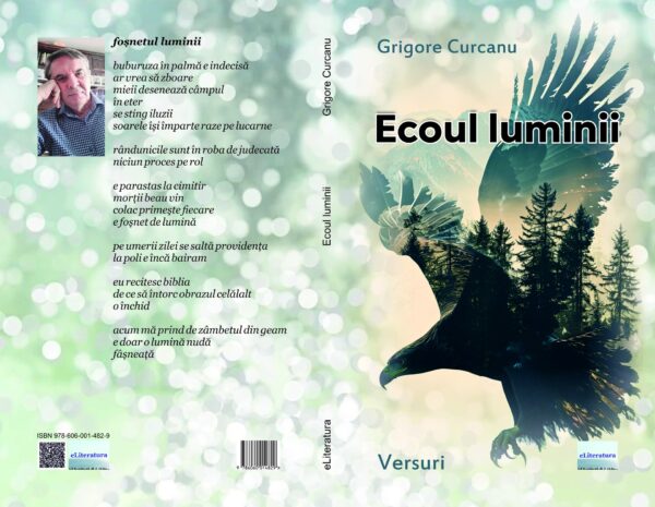 Ecoul luminii - imagine 2